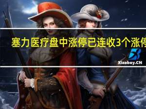 塞力医疗盘中涨停已连收3个涨停板