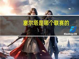 塞尔塔是哪个联赛的