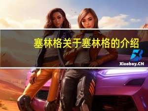 塞林格 关于塞林格的介绍