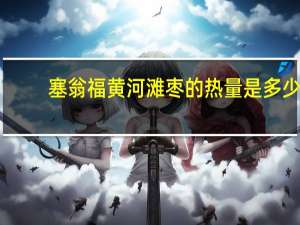 塞翁福 黄河滩枣的热量是多少