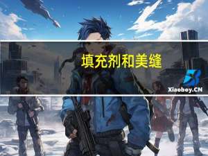 填充剂和美缝（填充剂）