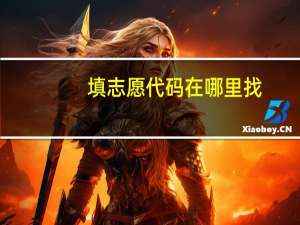 填志愿代码在哪里找