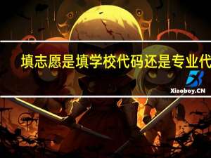 填志愿是填学校代码还是专业代码