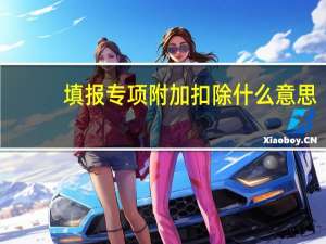 填报专项附加扣除什么意思
