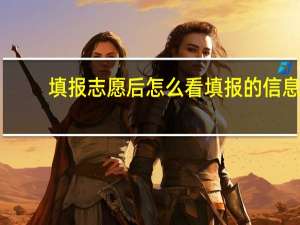填报志愿后怎么看填报的信息