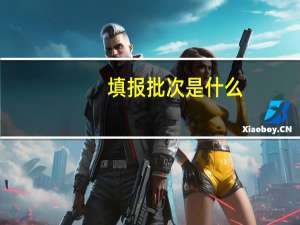 填报批次是什么