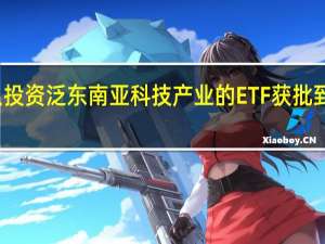 境内首只投资泛东南亚科技产业的ETF获批 到底什么情况嘞