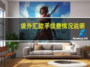 境外汇款手续费情况说明（境外汇款手续费是多少）