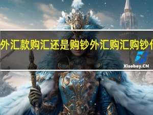 境外汇款购汇还是购钞 外汇购汇购钞什么区别