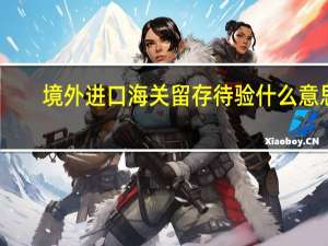 境外进口海关留存待验什么意思