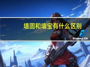 墙固和墙宝有什么区别