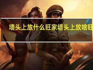 墙头上放什么旺家 墙头上放啥旺家