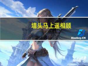 墙头马上遥相顾