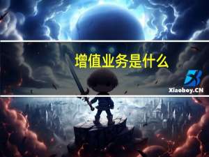增值业务是什么