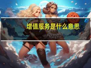 增值服务是什么意思