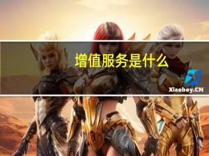增值服务是什么