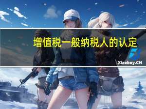 增值税一般纳税人的认定