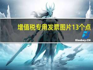 增值税专用发票图片13个点（增值税专用发票图片）