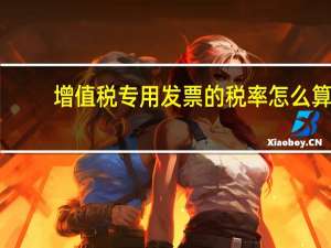 增值税专用发票的税率怎么算