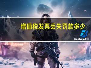 增值税发票丢失罚款多少