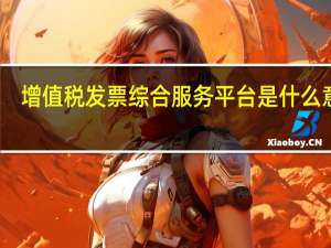 增值税发票综合服务平台是什么意思