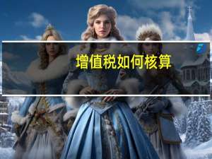 增值税如何核算