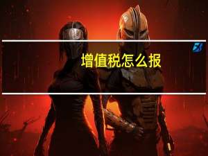 增值税怎么报