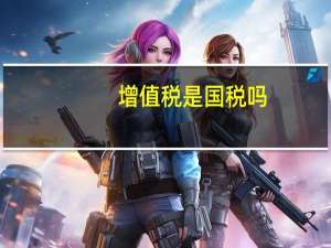 增值税是国税吗