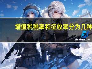 增值税税率和征收率分为几种（增值税税率和征收率的区别）