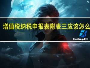 增值税纳税申报表附表三应该怎么填写