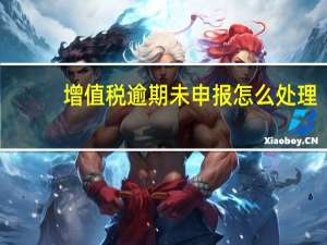 增值税逾期未申报怎么处理