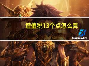 增值税13个点怎么算