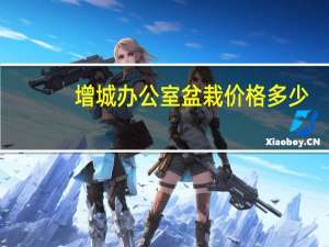 增城办公室盆栽价格多少