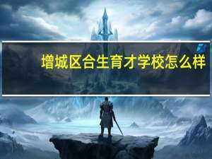 增城区合生育才学校怎么样