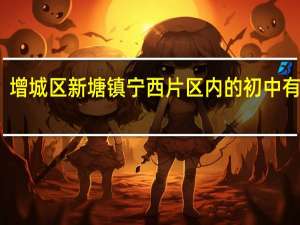 增城区新塘镇宁西片区内的初中有哪些