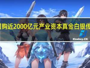 增持回购近2000亿元 产业资本真金白银传递市场信心