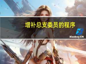 增补总支委员的程序