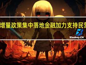 增量政策集中落地 金融加力支持民营企业