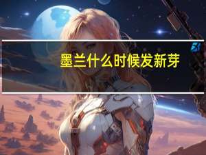 墨兰什么时候发新芽