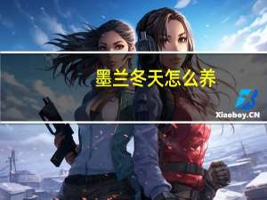 墨兰冬天怎么养