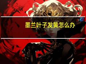 墨兰叶子发黄怎么办？