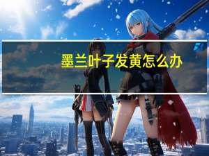 墨兰叶子发黄怎么办