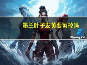 墨兰叶子发黄要剪掉吗