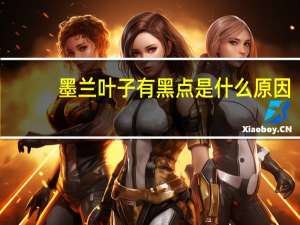 墨兰叶子有黑点是什么原因