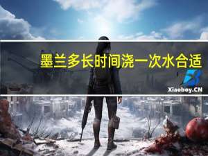 墨兰多长时间浇一次水合适