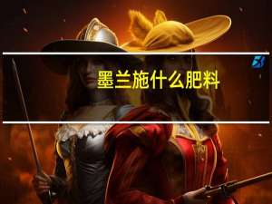 墨兰施什么肥料