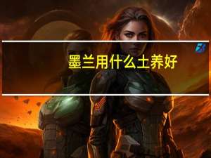墨兰用什么土养好