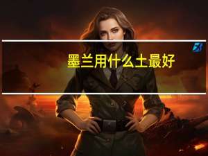 墨兰用什么土最好