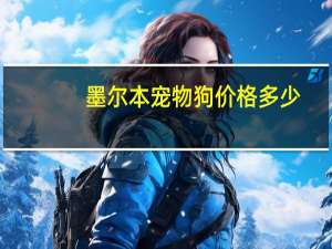 墨尔本宠物狗价格多少