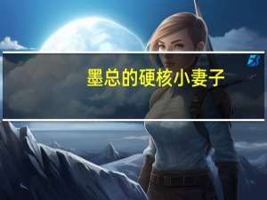 墨总的硬核小妻子（墨总的硬核小妻子）